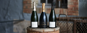 Blanc de Noirs Champagne blog and info