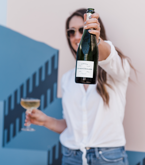 What is Brut Nature Champagne?