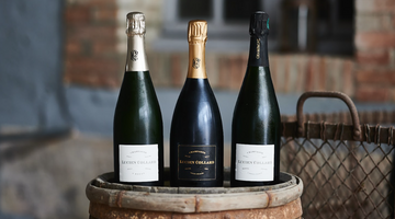 Blanc de Noirs Champagne blog and info