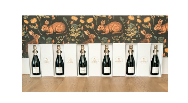 champagne gifts under $100