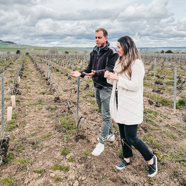 The Producers Club - our newest high-tiered offering of premium and rare champagnes highlighting a single grower producer
